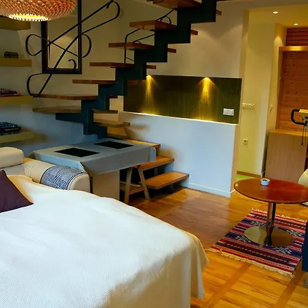 Studio Apartment